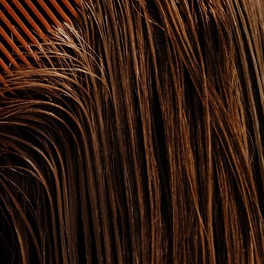 4 Summer Blowouts at Noble Hair Studio in Overland Park, KS